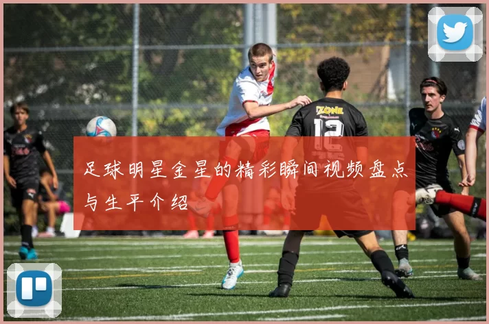 足球明星金星的精彩瞬间视频盘点与生平介绍